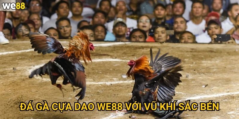 Đá Gà Cựa Dao We88 có những quy tắc gì đặc biệt? 2 Đá Gà Cựa Dao We88 với vũ khí sắc bén