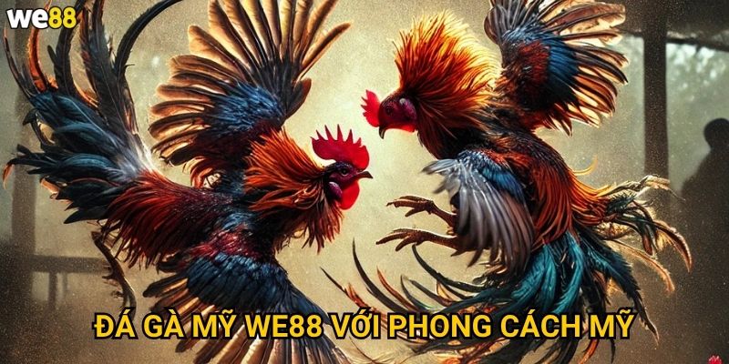 Đá gà mỹ We88 có gì khác biệt so với đá gà truyền thống? 2 Đá gà mỹ We88 với phong cách Mỹ